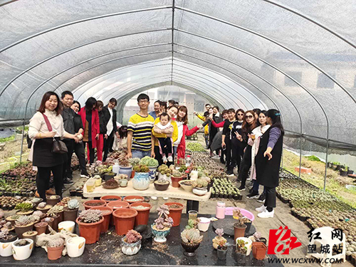 望城95后大学生自主创业变身“多肉棚主” 望城95后大学生自主创业变身“多肉棚主”