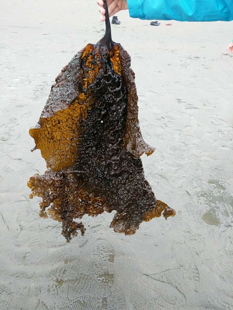 【海外课堂】这绝不是享受,是一种人生体验 【海外课堂】这绝不是享受,是一种人生体验