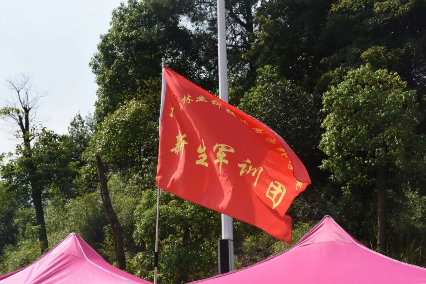 军训第一天 || 你们认真军训的样子最好看 军训第一天 || 你们认真军训的样子最好看