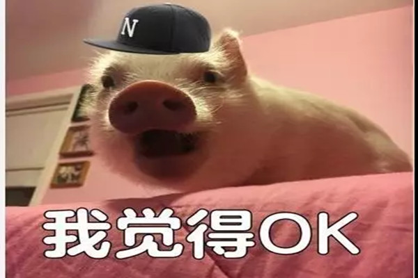 哇!湖南高校惊现“粉嫩”宿舍,网友看完流下羡慕的泪…丨饭间读本 哇!湖南高校惊现“粉嫩”宿舍,网友看完流下羡慕的泪…丨饭间读本